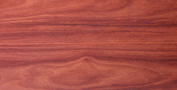 WoodGrain_BlueGumFlo1.jpg